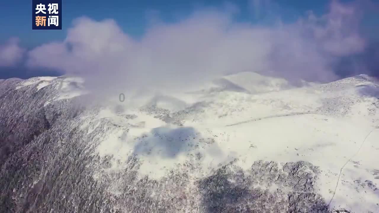 蓝狐视频